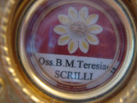 Relikwie Założycielki bł. Matki Marii Teresy Scrilli